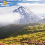 تا بم مسیج دادی سین شد پی ام گوشیم