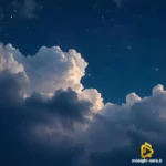 یکی اینجا بی تو زندگی سختشه فکر کردم