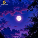 دانلود آهنگ جدید مه گه تو خوری گیانم من خور په‌ رسته‌م(ترند اینستا)