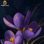 تو پیشش قر میدی من غر میزنم هر جا میرم