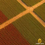 یا رب العالمین ای زیبایی ره ببین