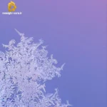 دانلود ریمیکس جدید همه از بدیات گفتن گفتم که آدم بدی نیست