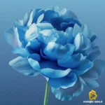 دانلود آهنگ جدید ماه گلی از ماهک