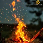 حیف داشتم بد به تو نیاز سهم من از تو