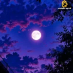 گل از مه جدا بو رفت برگ شمع ز دستم رفت با صدای زن