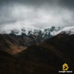 دانلود آهنگ جدید شل میشه تا اسم باده میاری ساقی(ترند اینستا)