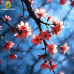 دانلود آهنگ جدید گفتی به من غصه نخور میرم و برمیگردم هوش مصنوعی